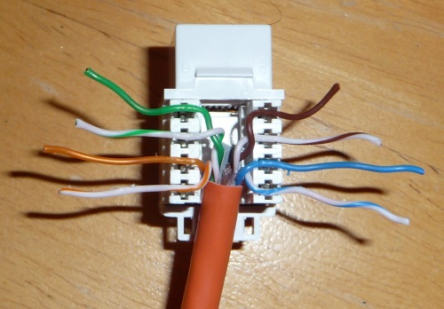 Cat5 Wall Plate Wiring Diagram - Convert Single Cat 5e Into Ethernet
