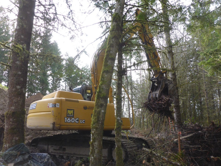 Brush Clearing With Excavator